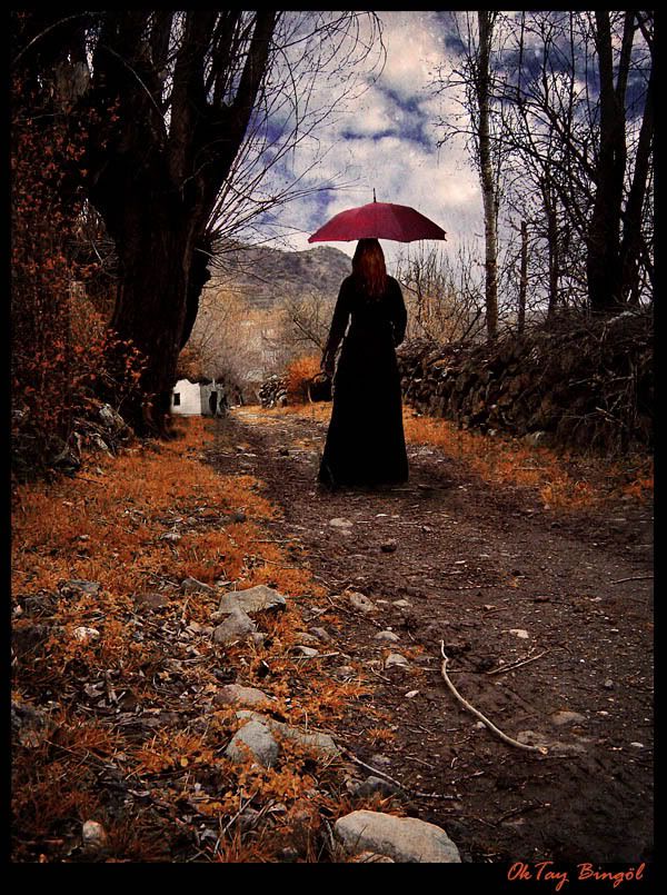 Hzn Resimleri (1. Katalog)