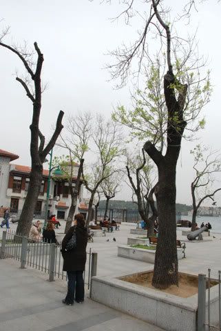 11-55.jpg