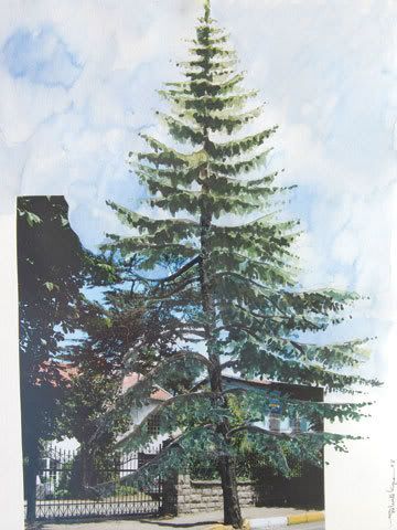 16-39.jpg