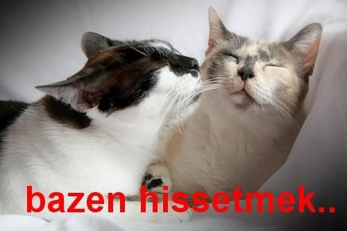 2-25.jpg