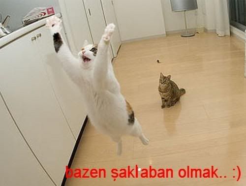 5-16.jpg
