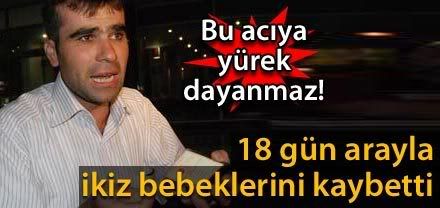 1-43.jpg