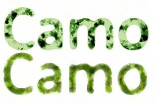 camouflage.jpg