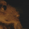 Icon by HK