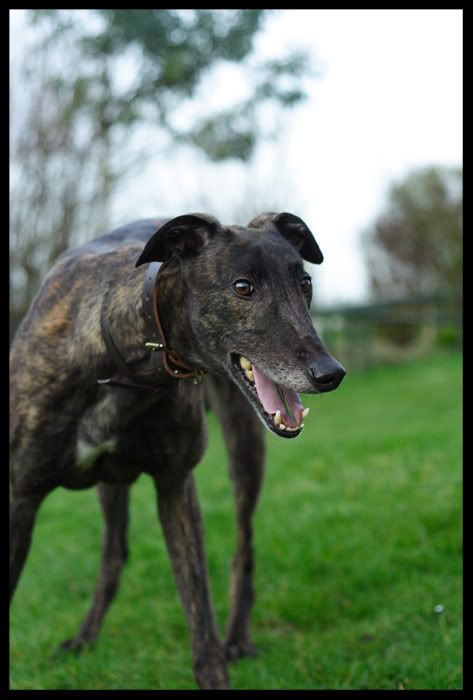 IMAGE: http://i42.photobucket.com/albums/e321/messy_da_legend/deanogarden.jpg