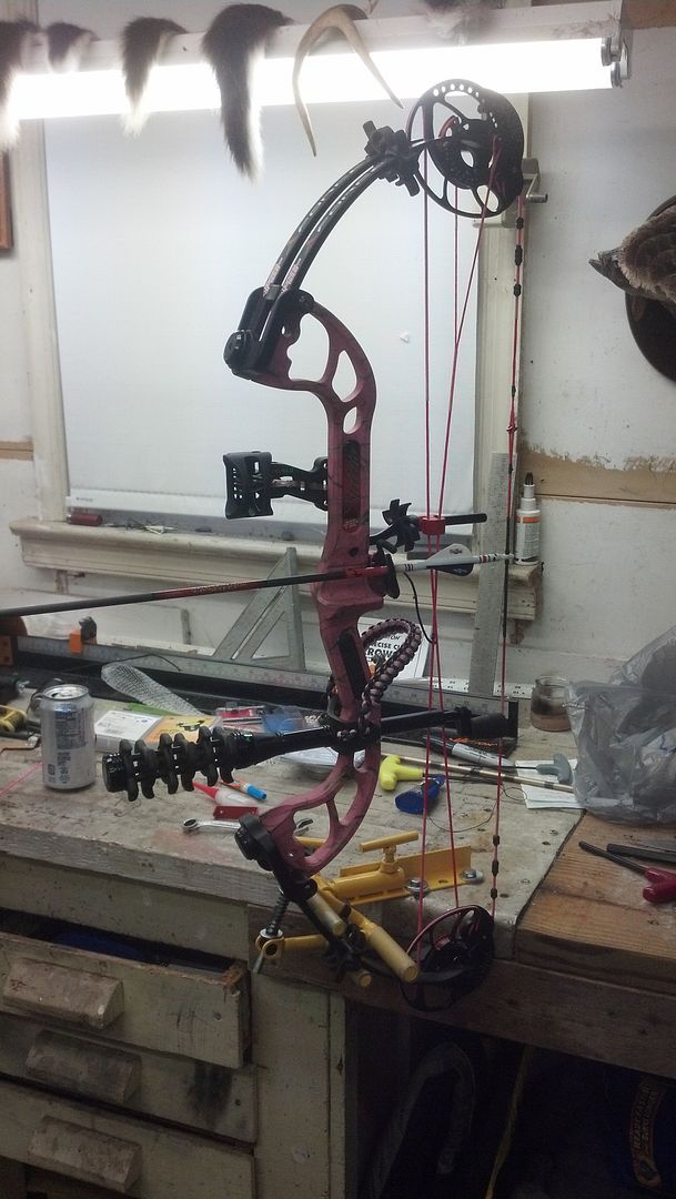 BCY 3D for Center Serving Archery Talk Forum