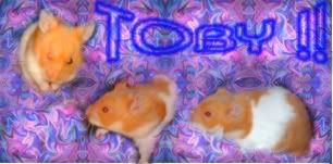 Posted Image