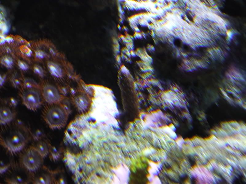 P1000133.jpg