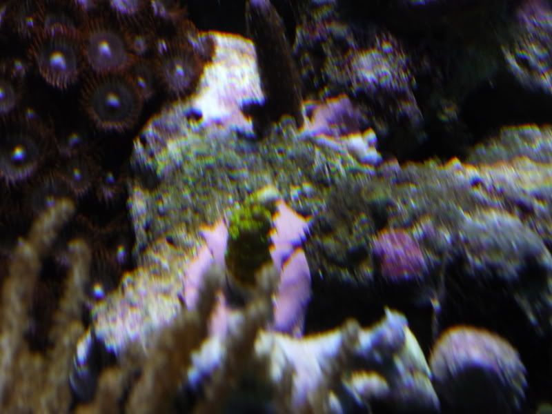 P1000134.jpg