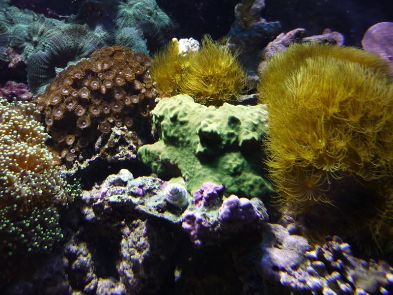 P1000122.jpg