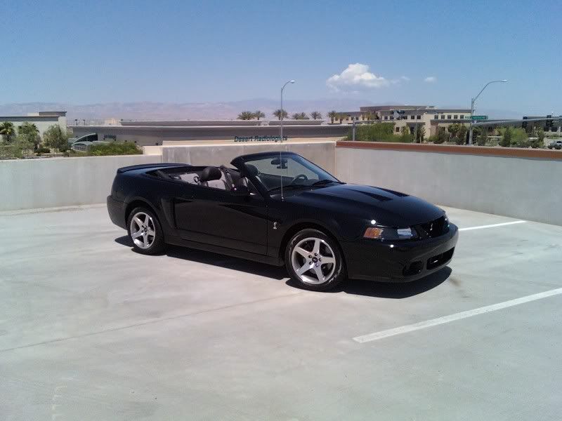 http://i42.photobucket.com/albums/e325/Boomin99GT/Cobra3.jpg