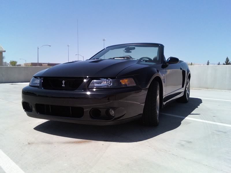 http://i42.photobucket.com/albums/e325/Boomin99GT/Cobra4.jpg