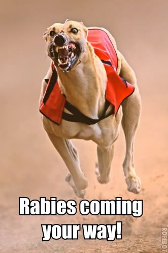 Rabies! Pictures, Images and Photos