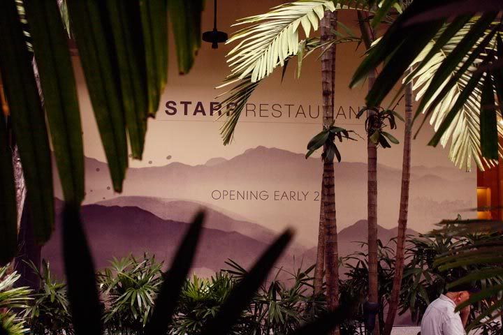 Starr Restautants,Bal Harbour Shops,Japanese Restaurant,Sedso Design
