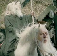 [Image: horse-gandalf-lord-of-the-rings-meme_zpsfo7xslkw.jpg]