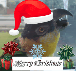 Chi017-2.gif image by suebarrass