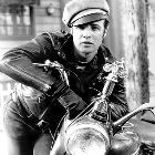 brando1841450.jpg