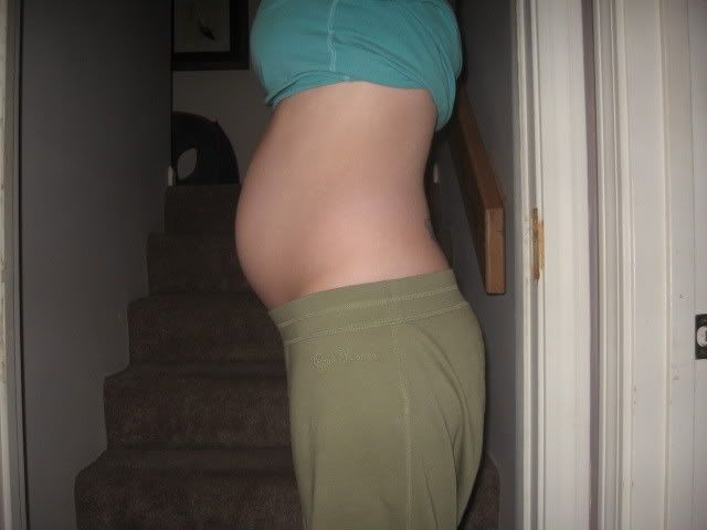 20weeks1.jpg picture by NFjeld2