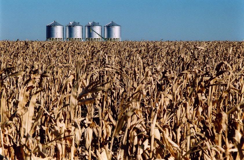 Silos.jpg
