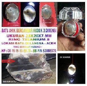 Batu akik bergambar kodok 3 dimensi - 2 photo BaTu CeMPaKa BeRGaMBaR KoDoK 3 DiMeNSi 2015B_zpsm9u4v9cu.jpg