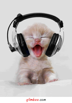 music cat Pictures, Images and Photos