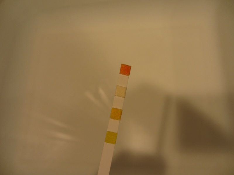 seidio_obex_s4-35_zps77a09d77.jpg