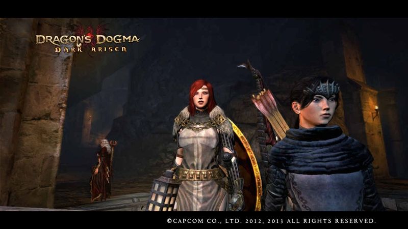Dragon s dogma dark arisen подарки 65
