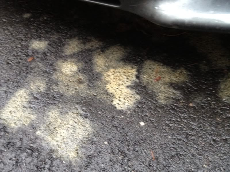 Identify the fluid leaking from my car...