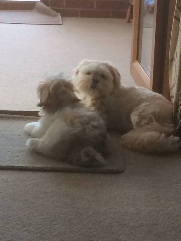 Togetherness photo 11927829_10156174231740495_4147644961431248533_o.jpg