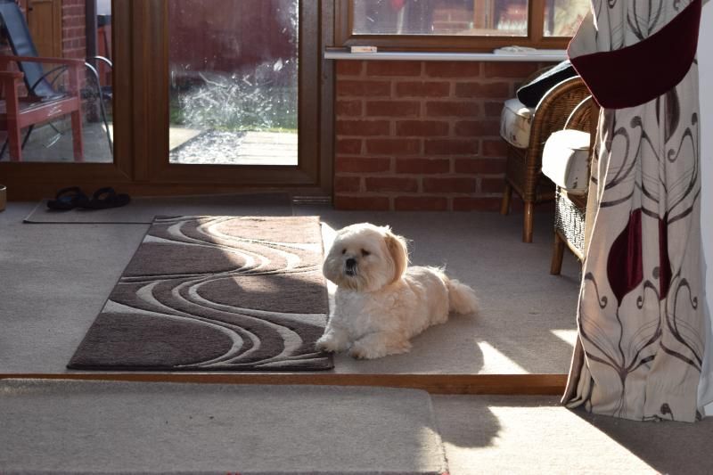  photo DSC_0040-1.jpg