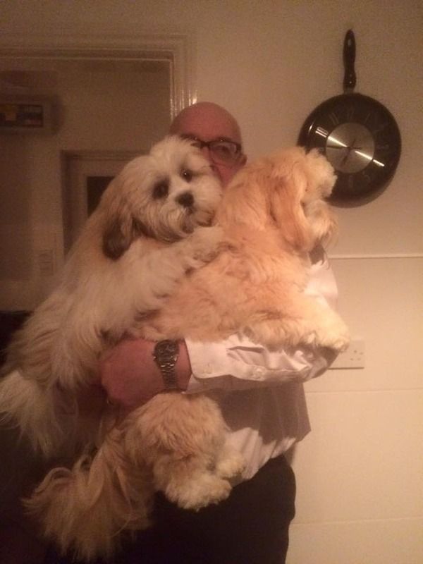 Daddy's Home photo Daddys Home.jpg