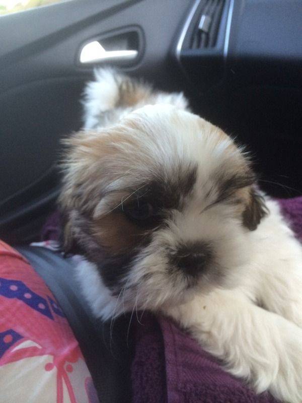 "Where we going, mum?" photo IMG_1755.jpg