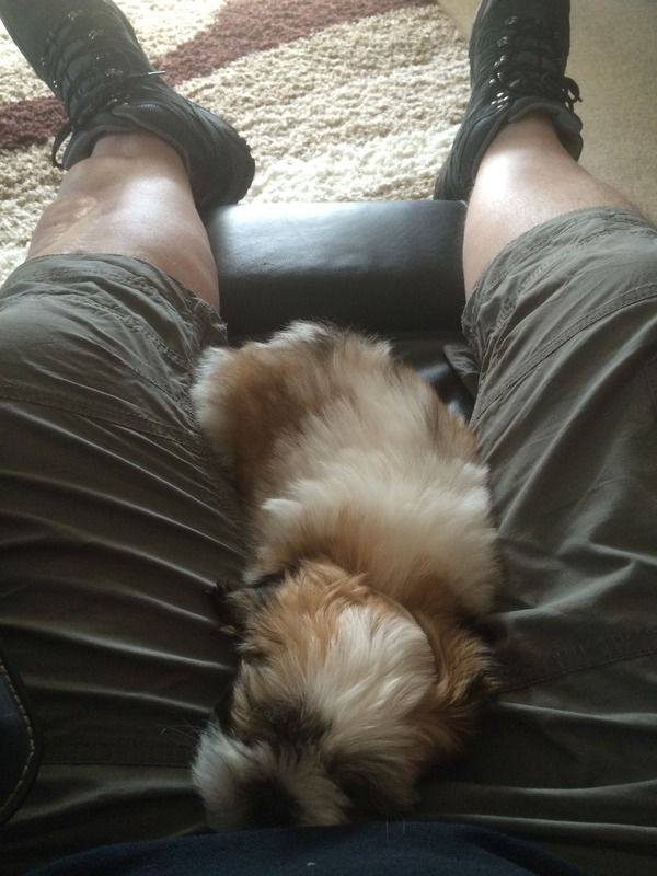 "I really shouldn't get up so early" photo IMG_1770.jpg