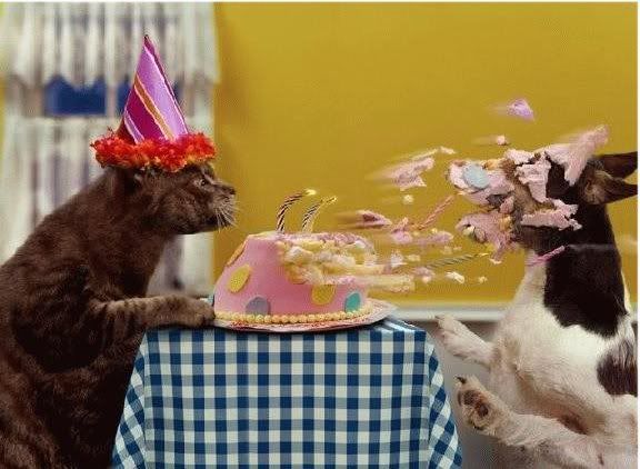 [Image: cat_birthday.jpg]