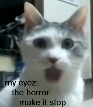 lolcats2.png