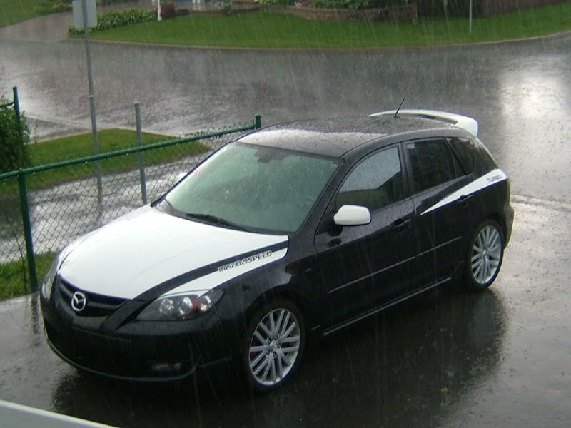 Black Mica Sedan w/ a white hood, white top, and white trunk cover