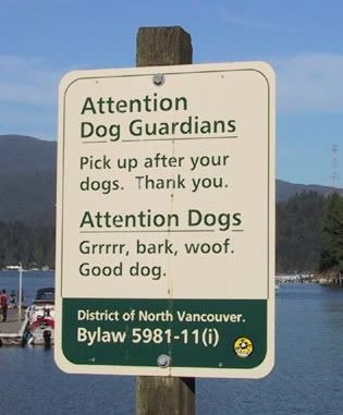 funny dogs photo: Attention Dogs attentiondogs.jpg