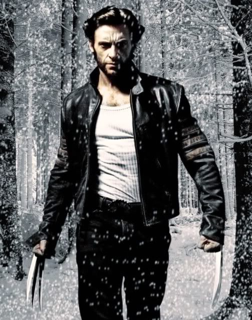 Wolverine In The Snow Photo by haruru_kobayashi Photobucket