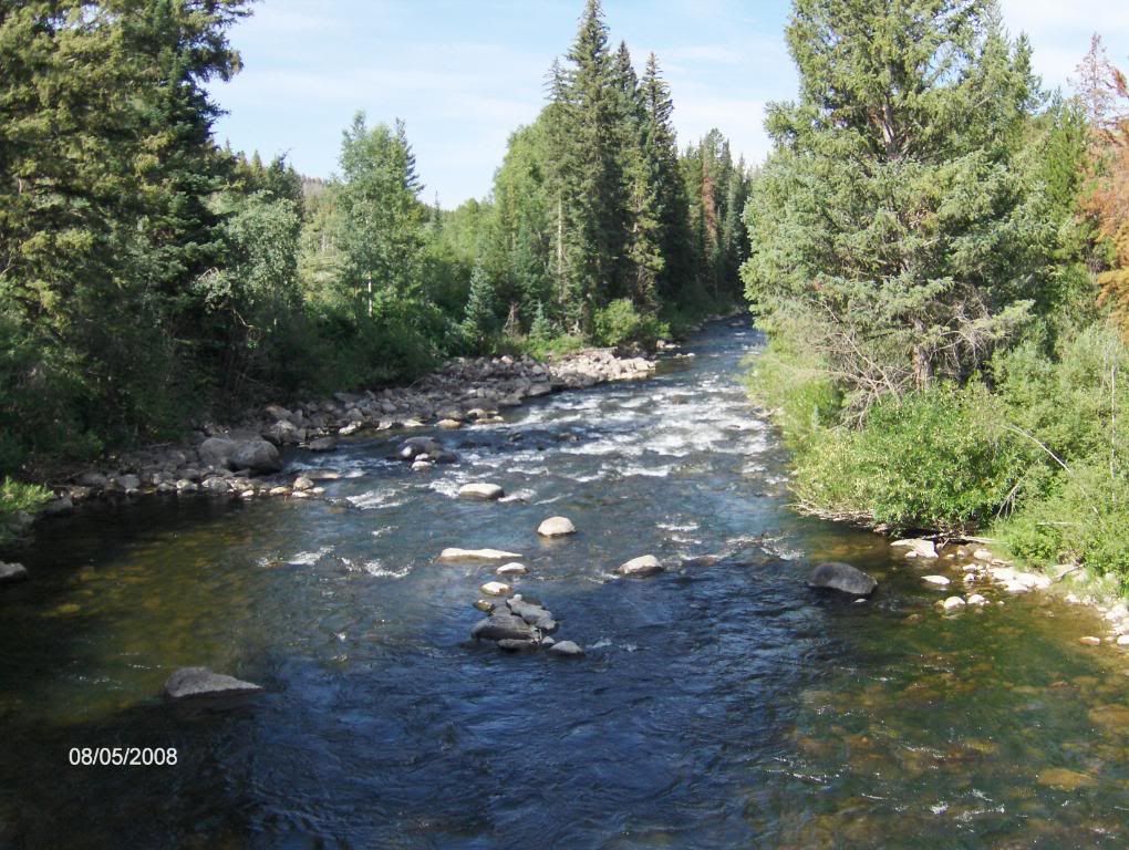 The First Day of Nine Months of Winter Pics - Goats
