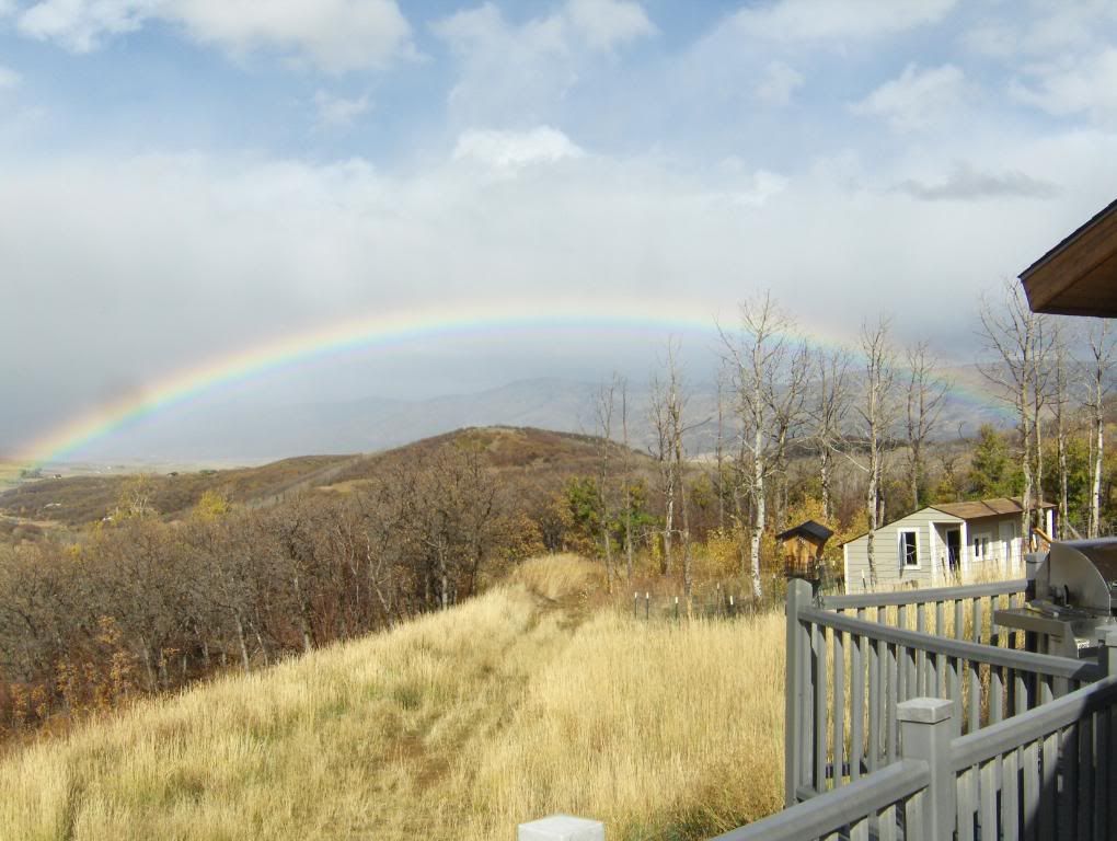 The First Day of Nine Months of Winter Pics - Goats