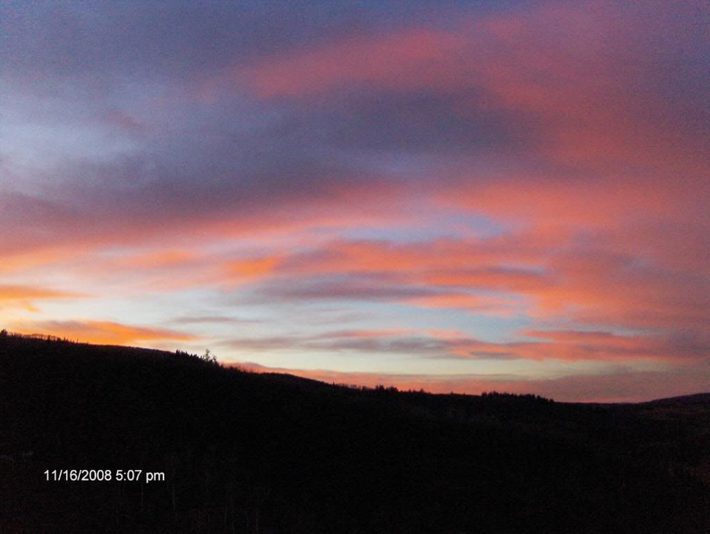 The First Day of Nine Months of Winter Pics - Goats