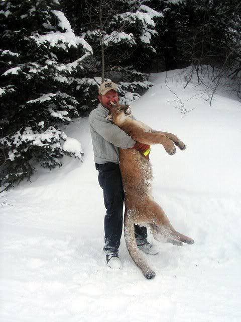 More Neighbors - Goats