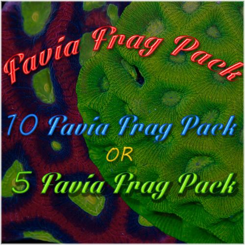 favia-pack-5for30or10for50_zps3f04eb40.j