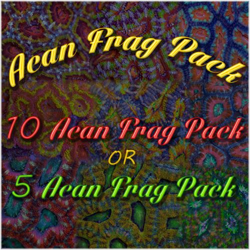 acan-pack-5for60or10for100_zps59728112.j