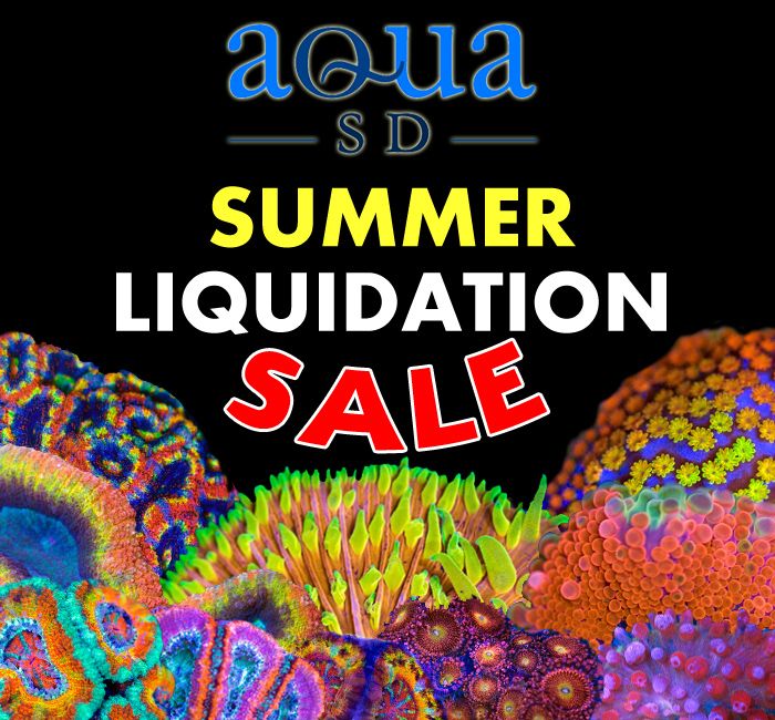 liquidation-sale-banner_zpsed6c41e7.jpg
