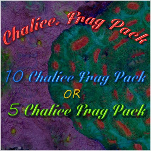 OURPickChalices-10Chalicesfor100or5chali
