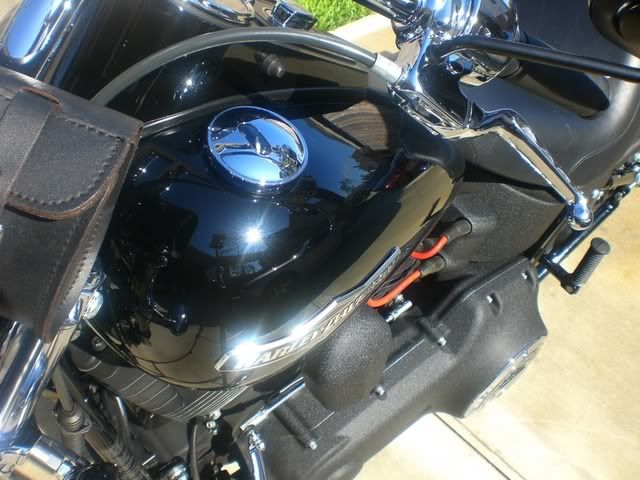 CIMG0661.jpg