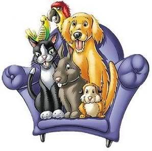 domesticated animals made into pets