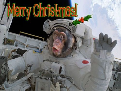 merry-christmas-monkey.jpg