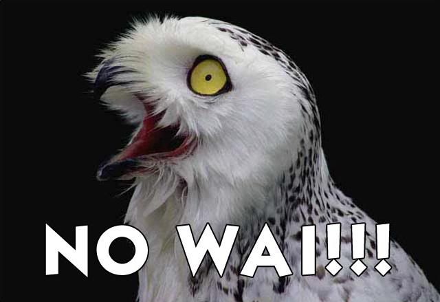 no_wai.jpg?t=1246025623